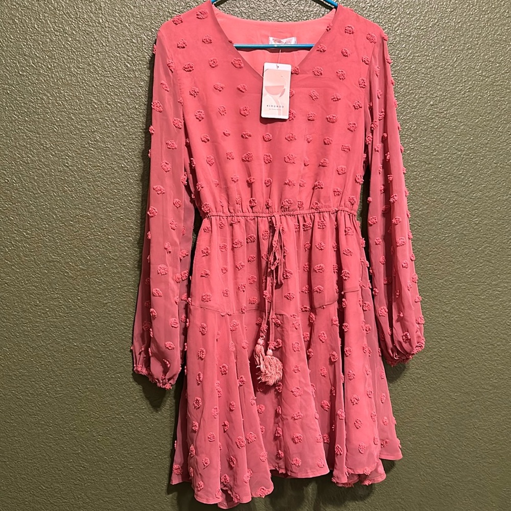 Brand New Pink long Sleeve Dress